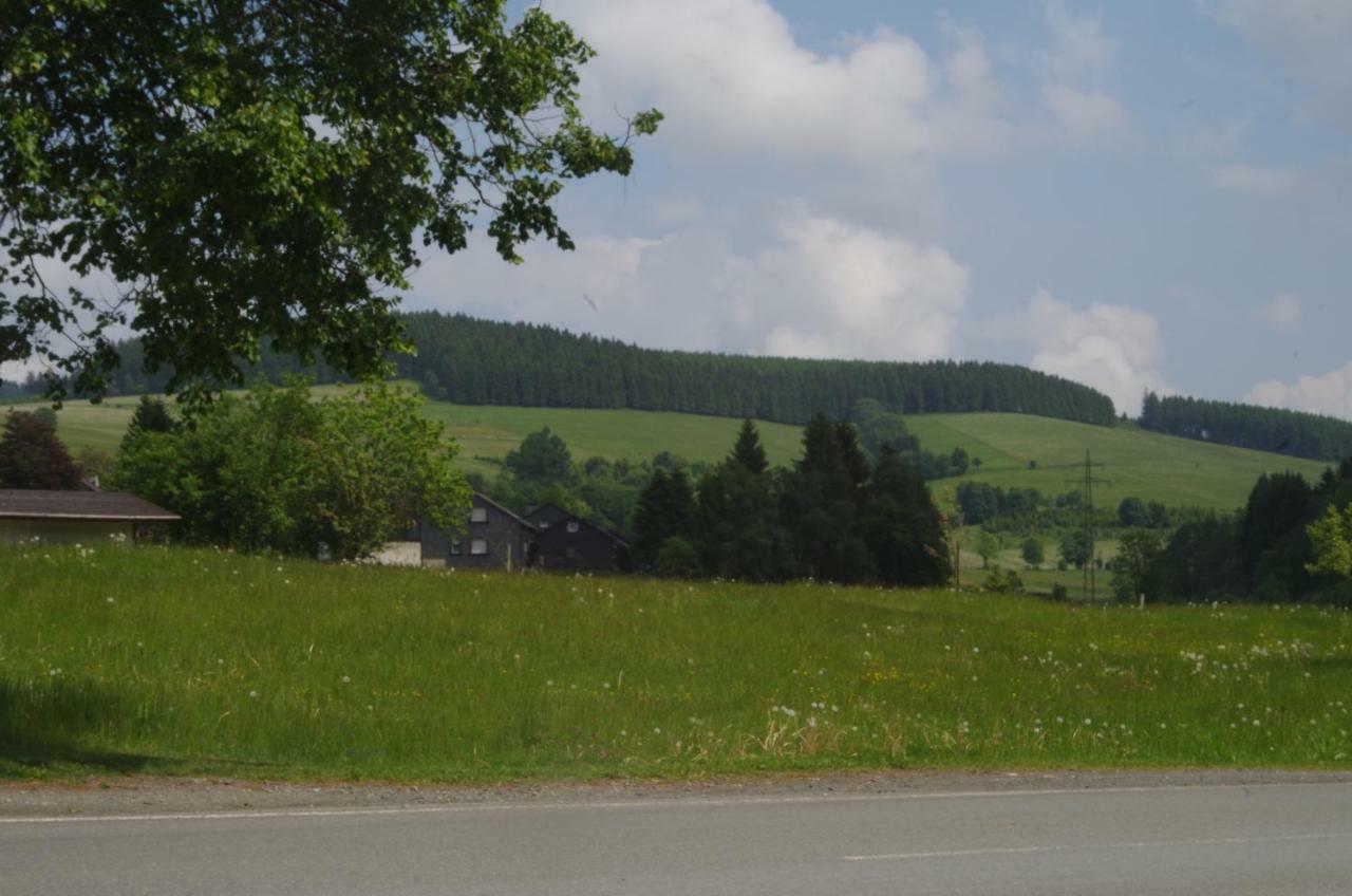 Das Gelbe Haus 3 Apartment Winterberg